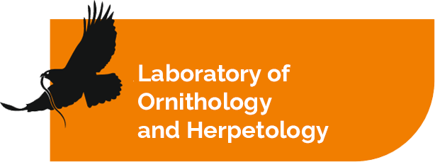Laboratory of Ornithology and Herpetology