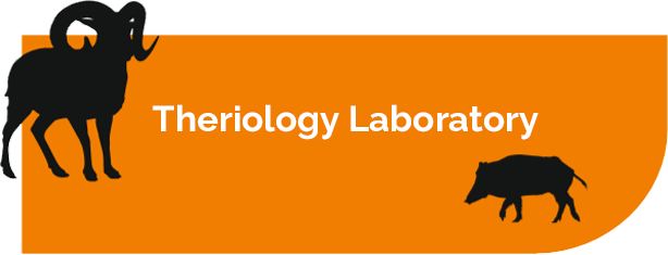 Theriology Laboratory