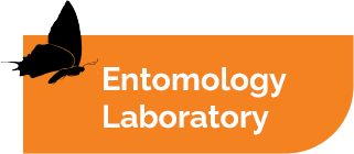 Entomology Laboratory