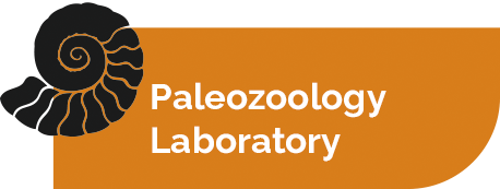 Paleozoology Laboratory