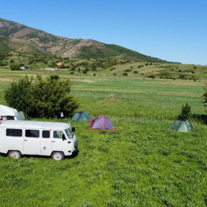 Фауна Западного Тянь-Шаня