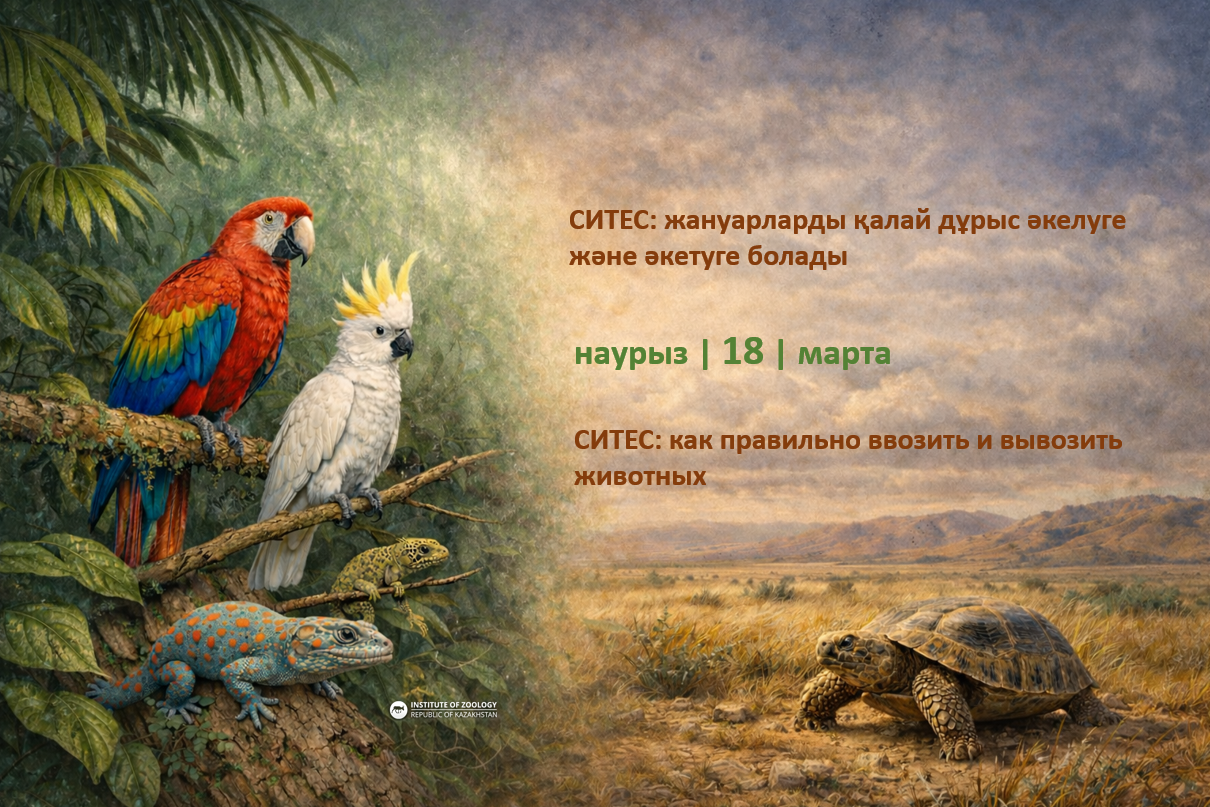 Онлайн семинар по СИТЕС