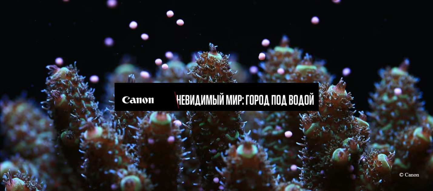 Canon фотовыставкасы «Көрінбейтін әлем: Су астындағы қала» 2026
