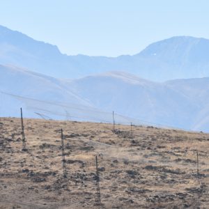 Орнитологическая станция Чокпак