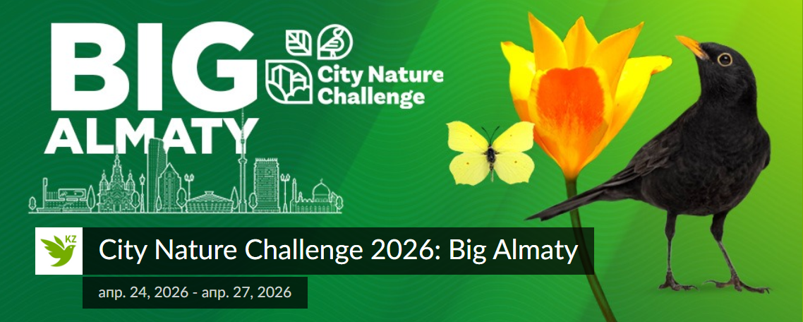 City Nature Challenge 2026: Big Almaty