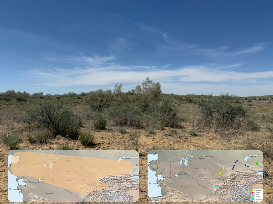 Места обитания и распространения рода Desertosa