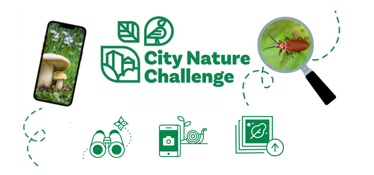 City Nature Challenge 2026