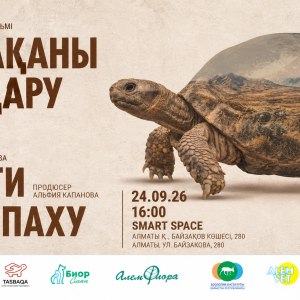 Спасти черепаху, премьера фильма