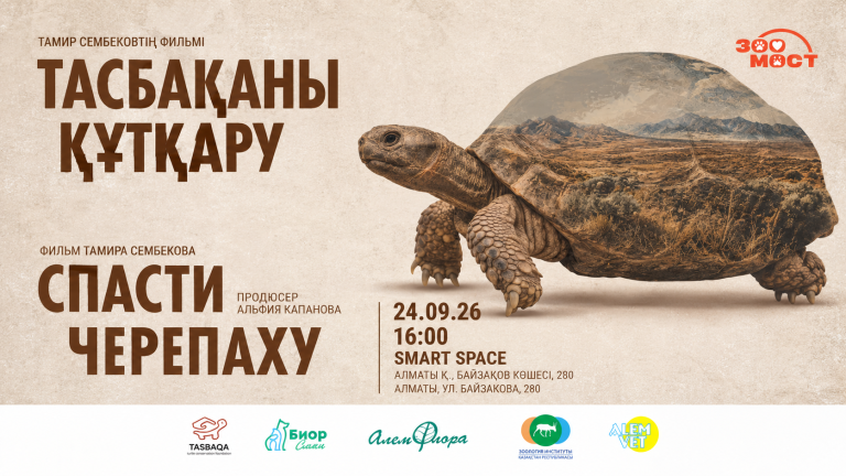 Спасти черепаху, премьера фильма