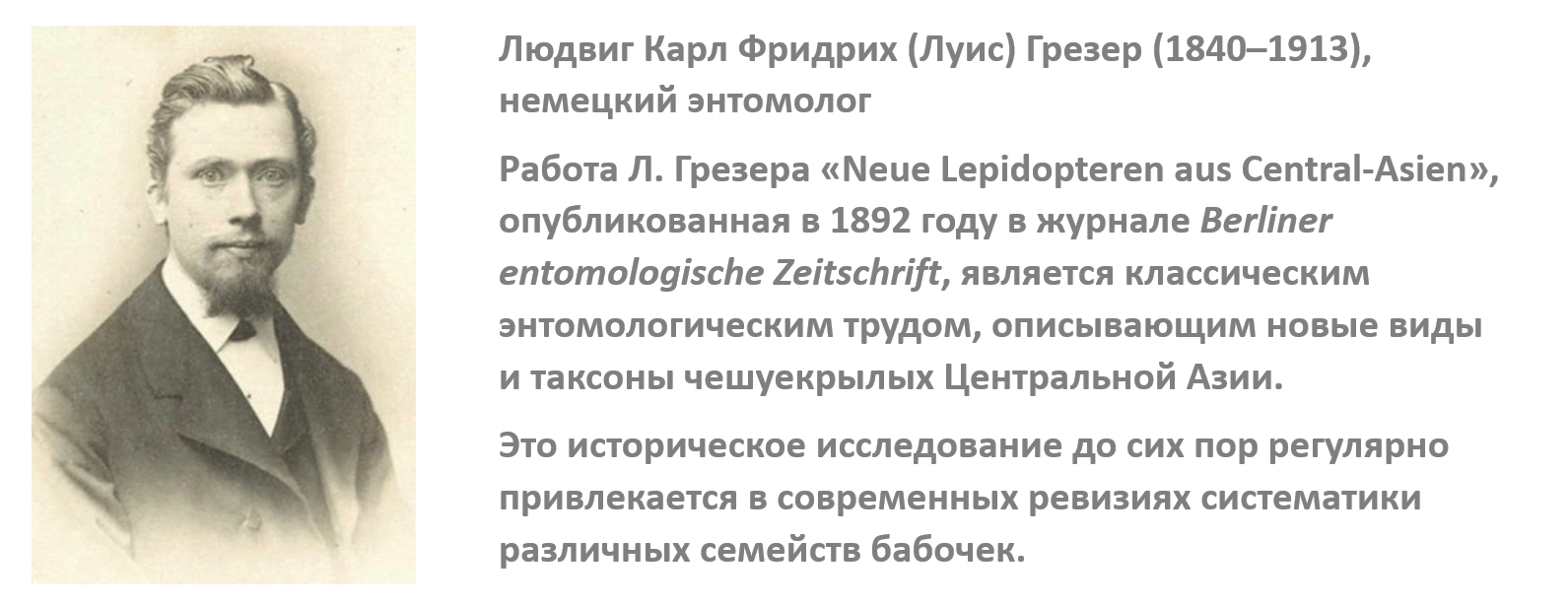 Людвиг Карл Фридрих Грезер (немецкий энтомолог) - впервые описал этот вид бабочки в 1892 году